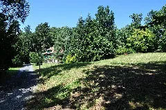 Küsnacht Garten Vogel Sulzer, Zur Letzi 25 2011 08 26 13 29 02