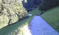 Kufstein Hintersteiner See Panoramio (14)