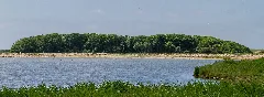 Kulturdenkmaeler Oldsum Dunsum Meedeweg 004 2016 06 07
