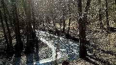 L'hermance En Février