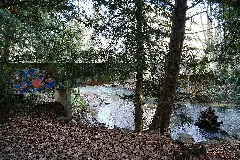 La Seymaz @ Chêne Bourg (50833843853)