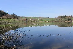 Lac De Bret Panoramio (25)