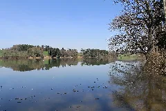 Lac De Bret Panoramio (27)