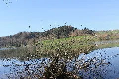 Lac De Bret Panoramio (28)