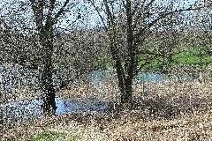 Lac De Bret Panoramio (70)