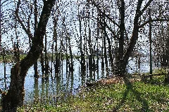 Lac De Bret Panoramio (72)