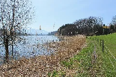 Lac De Bret Panoramio (73)