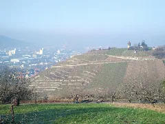 Landappbw 176555 1817 Ailenberg Stuttgart Obertürkheim