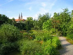 Landesgartenschau 1990 Garden Img 6780