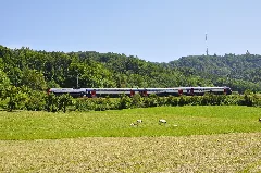 Landikerwiese Dsc 0135