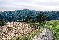 Landscape Puchenau Hdr 2 (Dfdb)
