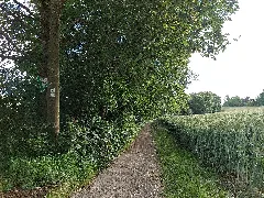 Landschaftsschutzgebiet Oberlimpurg Schwäbisch Hall 2024 06 15 3