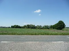 Landschaftsschutzgebiet Riemsloher Wald Melle Datei 2