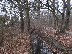 Landwehrgraben, 1, Waldhausen, Hannover