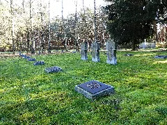 Lazarettfriedhof Saalow Detailaufnahme Gräberfeld Soldaten