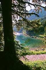Le Lac De Taney À Miex