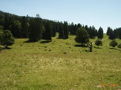 Les Savagnières Panoramio