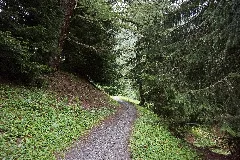 Leukerbad Path 3