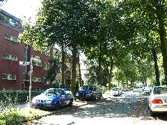 Lichterfelde Lucas Cranach Straße