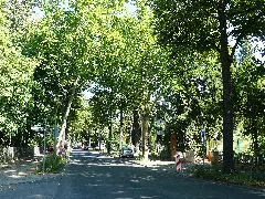 Lichterfelde Ostpreußendamm