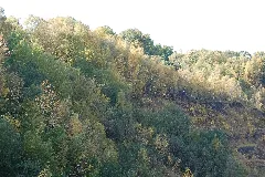 Liether Kalkgrube 12