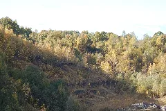 Liether Kalkgrube 13