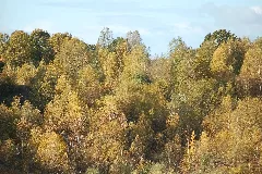 Liether Kalkgrube 14