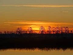 Linum 2019 02 (11)