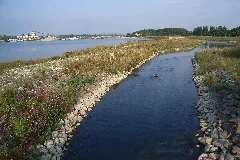 Lippesee Lippeumflut