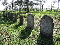Lippetal Schoneberg Jüdischer Friedhof Hovestadt 03