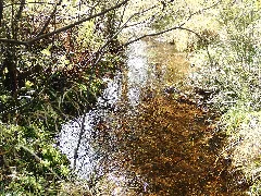 Lister Fluss