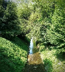 Littenbach In Au Sg