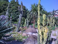 Locarno, Park Panoramio