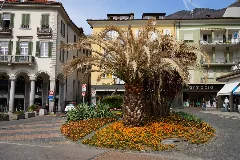 Locarno, Switzerland Panoramio (3)