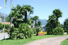 Locarno2