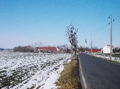 Löbenp S