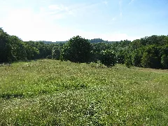 Lsg 378517, Stadt Kassel, Hessenschanze, 2, Kirchditmold, Kassel