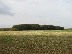 Lsg Fissenberg, 1, Eddesse, Edemissen, Landkreis Peine