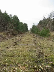 Ludwigslust Bahnstrecke Nach Doemitz 2008 01 08