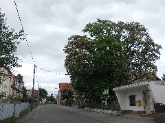 Lübschützhst
