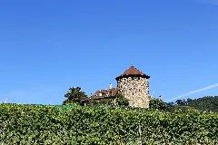 Lutry Panoramio (10)