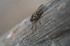 Macro Result, Micro Expense (Ii) (13805554194)