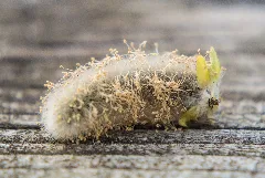 Macro Result, Micro Expense (Iii) (13805276083)