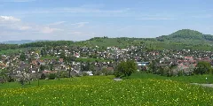 Magden
