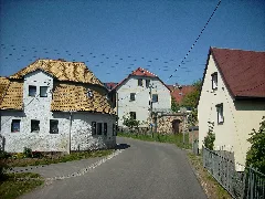Mahlitzschbienenkorb