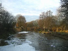 Malzer Kanal Reststueck Bei Oranienburg 09 01 2008 263