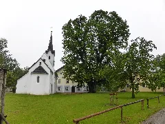 Mattsee (Zellhof 1)
