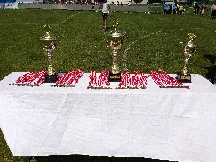 Medallas Y Copas