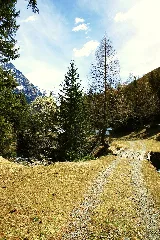 Mesocco, Switzerland Panoramio (4)