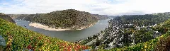 Mittelrheintal Oberwesel 2009